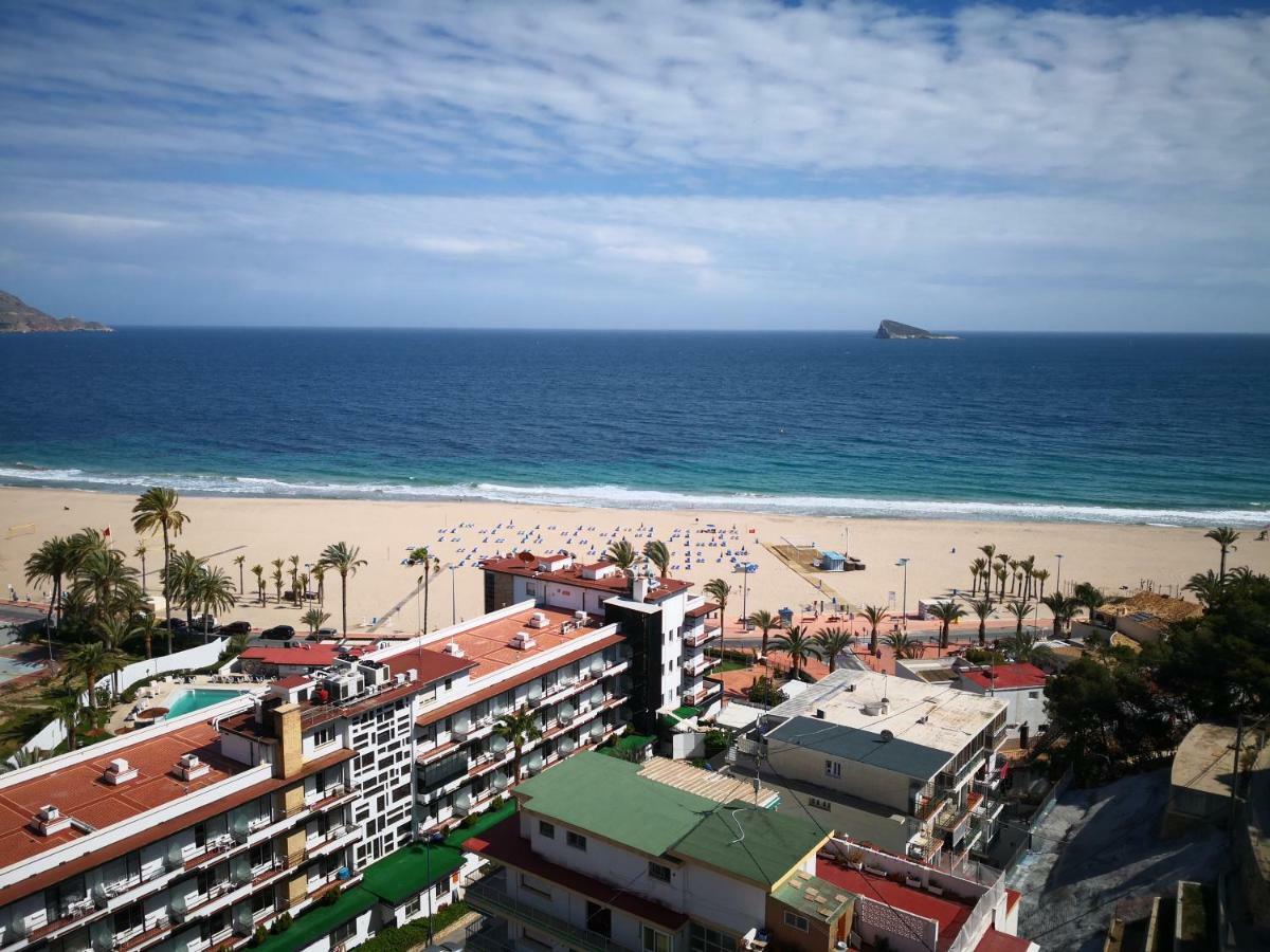 Mariposa Benidorm